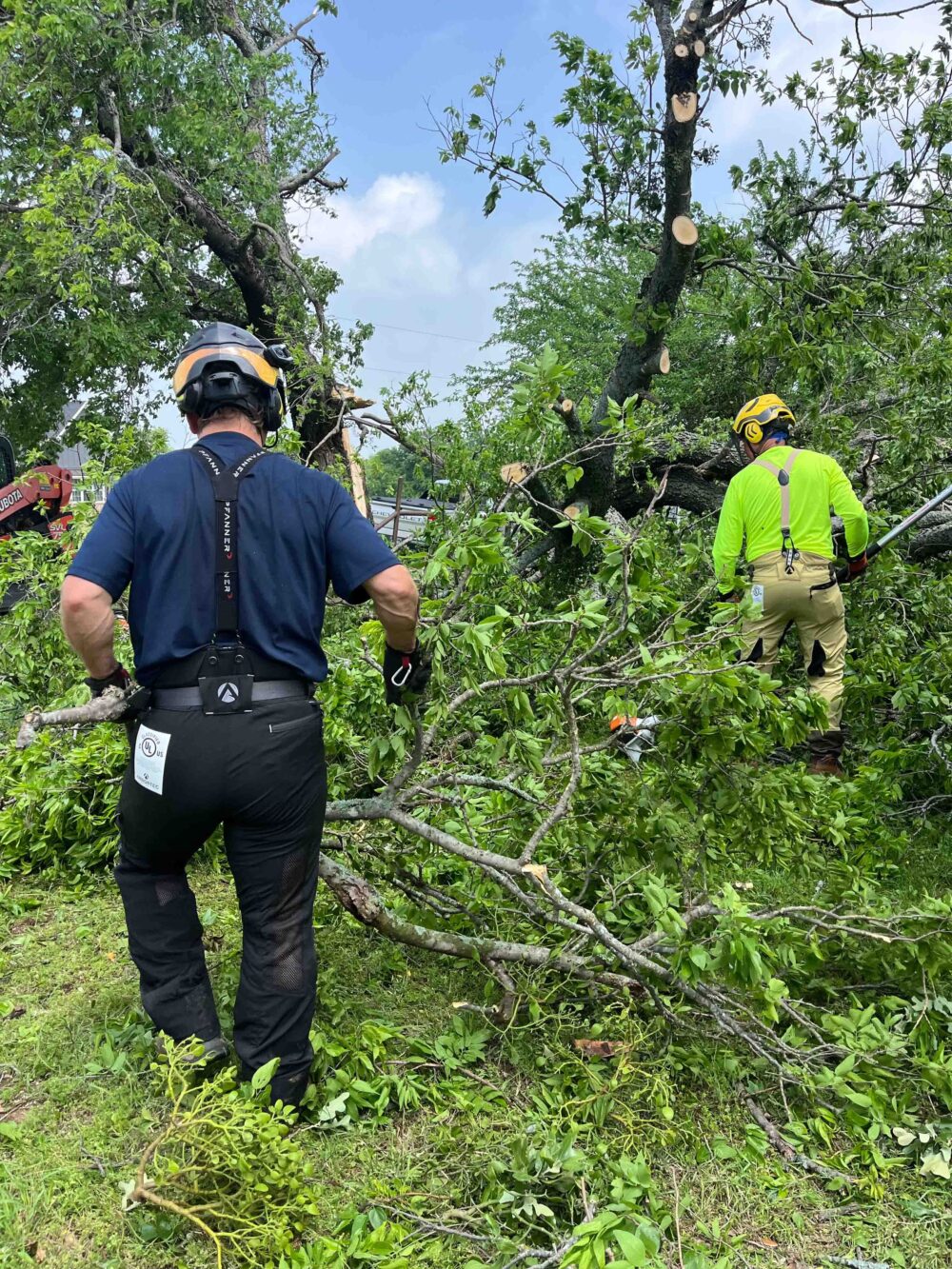 Texans on Mission deploy disaster relief teams to North Texas cities ...
