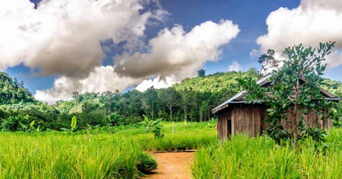 Grains of hope Texas Baptists